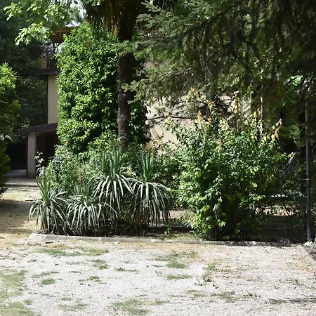 Cospea B&B-2